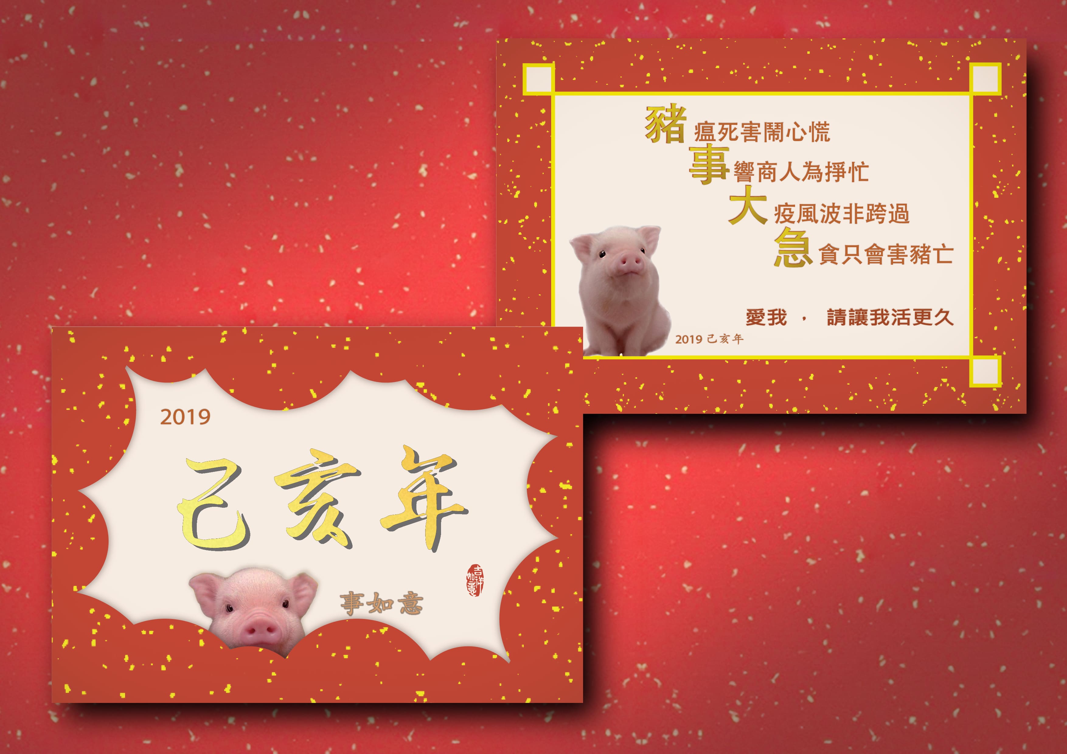 pig-card